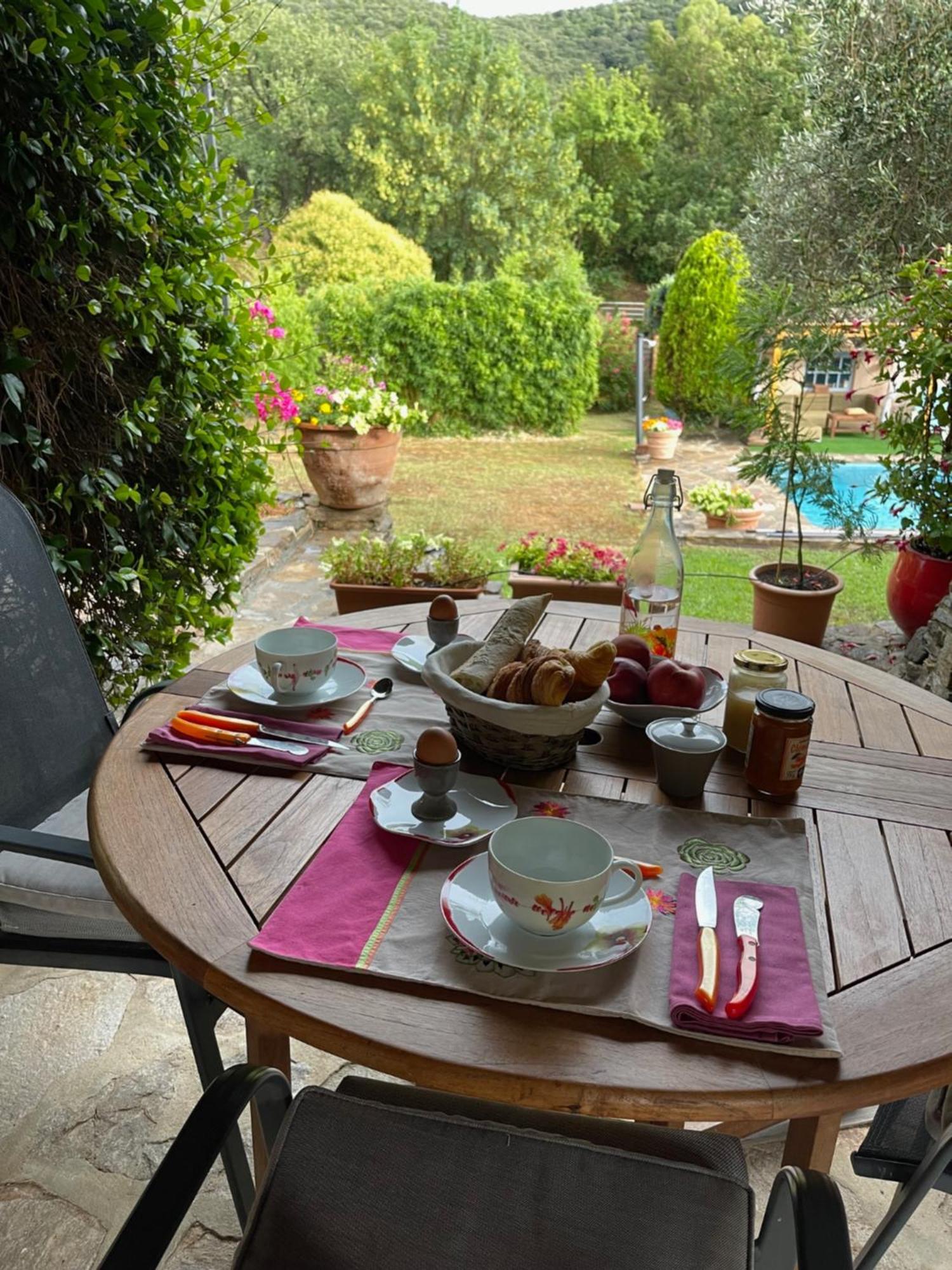 La Borreliane Bed & Breakfast Hyeres Bagian luar foto